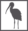 Ibis Garage Icon